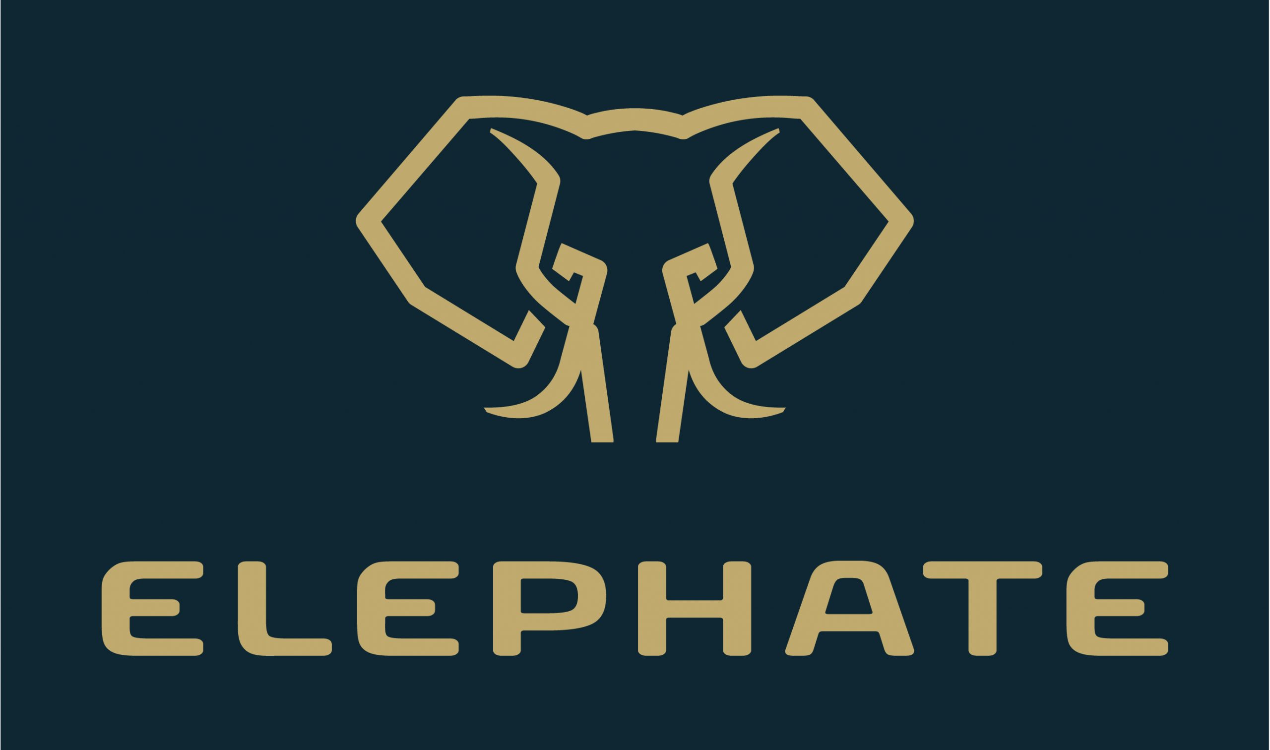 Image: Elephate share what the European Agency Awards means to them